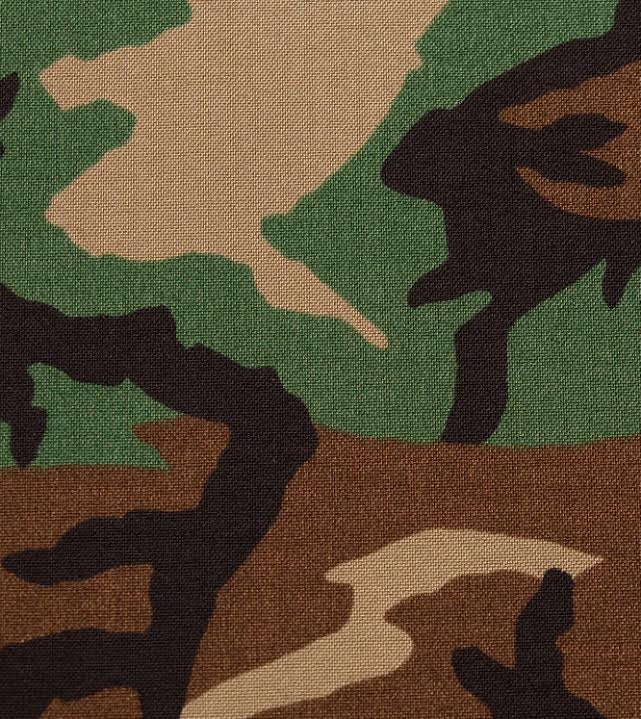 M81 Woodland