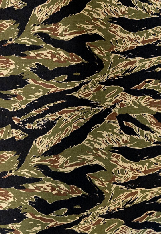 Tiger Stripe