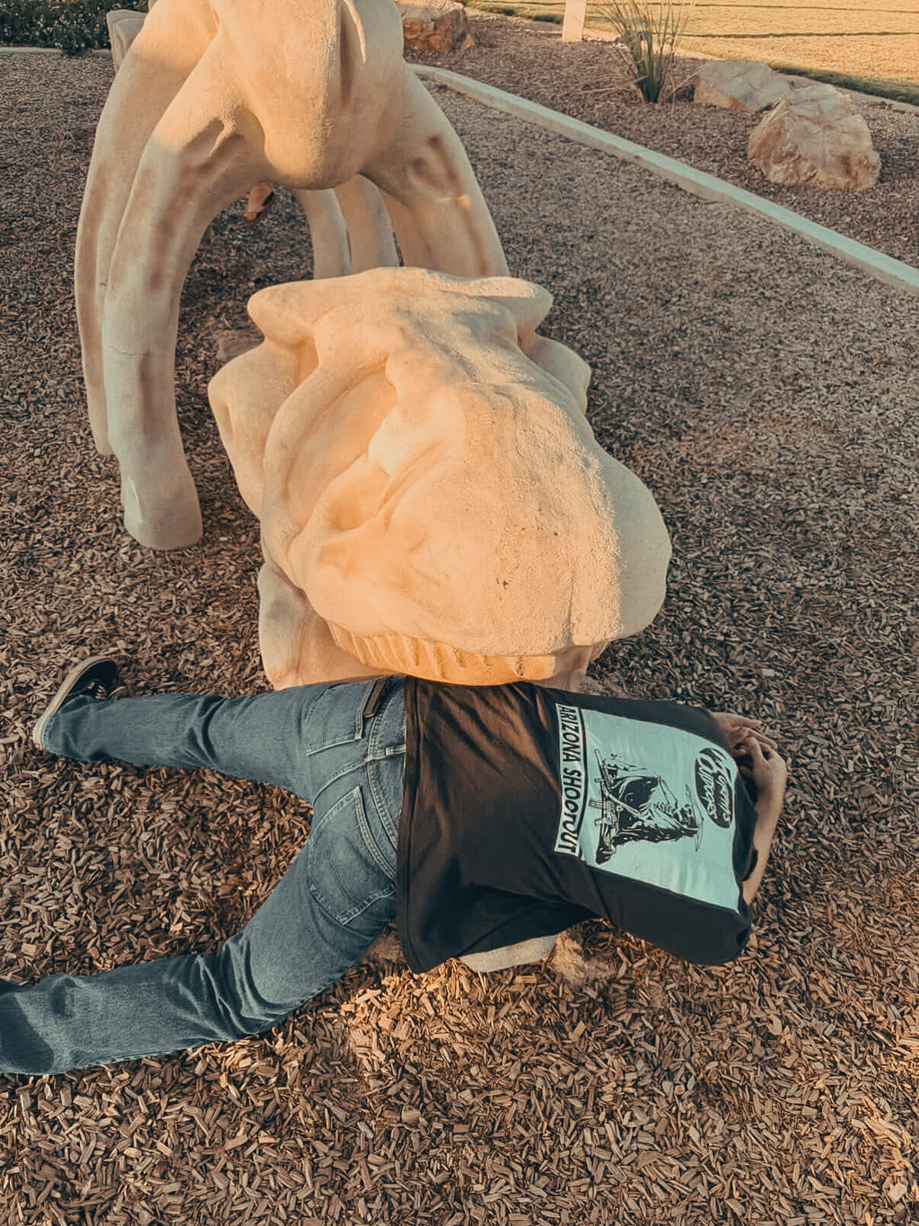 Arizona Shootout