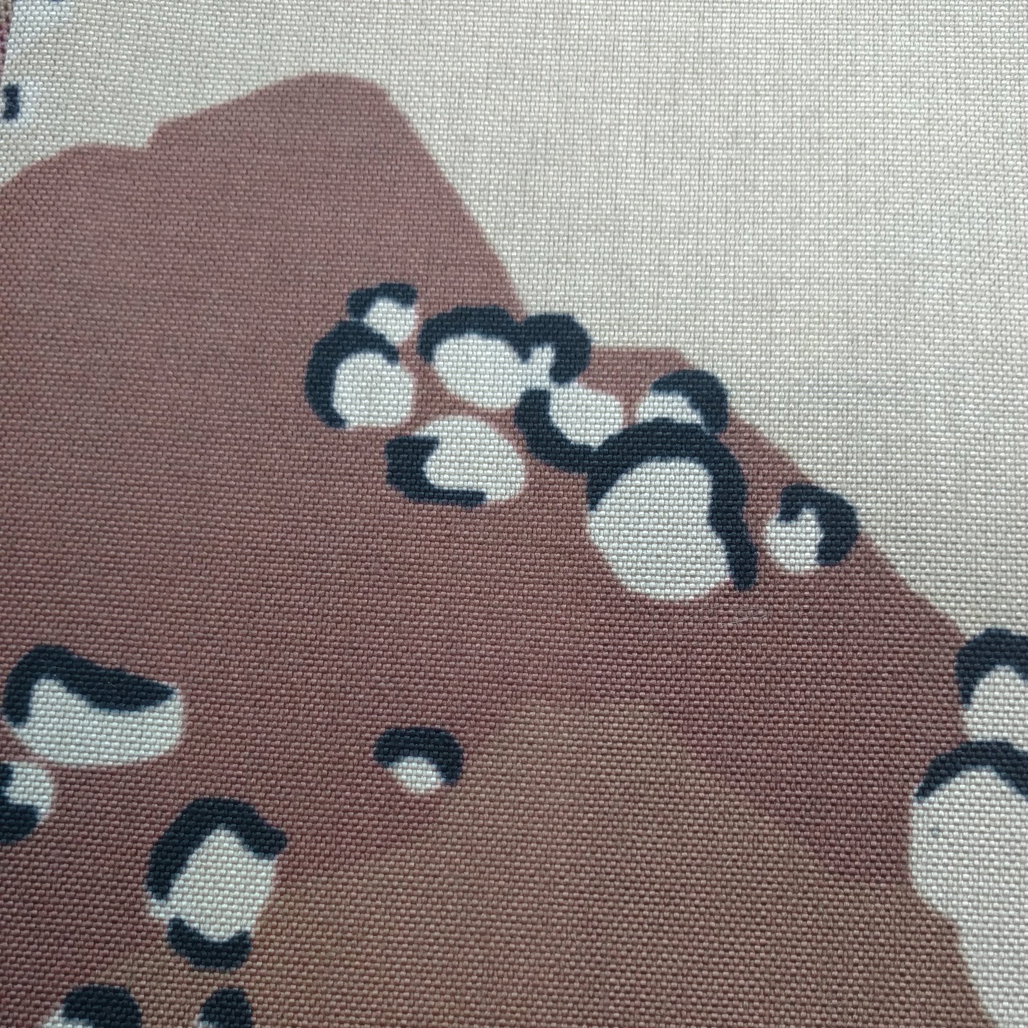 Chocolate Chip
